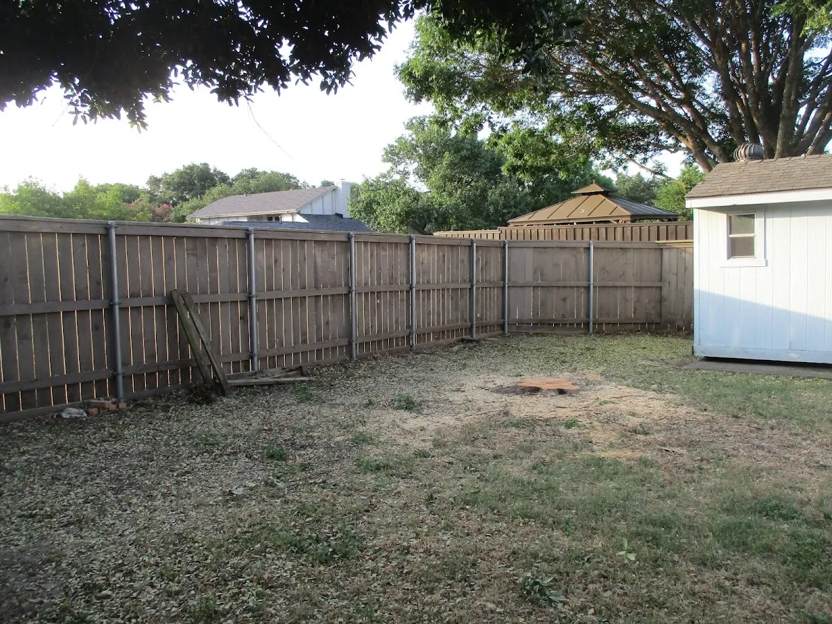 Cleared yard after professional tree removal in Little Falls